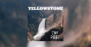 Yellowstone Cover