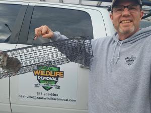 Jim Adams with a trapped rodent