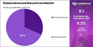 Advanced Wound Care Market Share.png