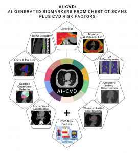 AI-CVD components includes AutoChamber, AutoBMD, and several other opportunistic measurements in a CAC scan.