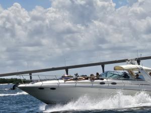 Yacht rentals