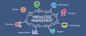 knowledge management software