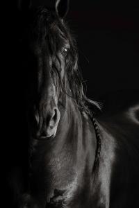 Legend, from the series Grace Within Shadows