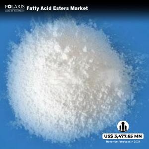 Fatty Acid Esters Market