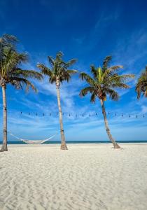 South Seas Beach Palms