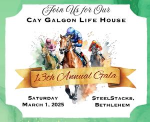 Cay Galgon Life House Continues to Transform Lives for At-Risk Mothers and Infants with Annual Dessert Auction Gala