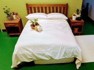 Pure Living Space Organic Mattresses, Bedding & Personal Products
