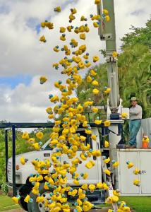 Ducks falling to the ground in the 2024 Duck Drop