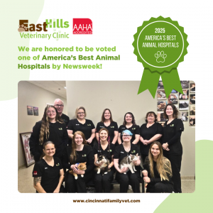 East Hills Veterinary Clinic Named as One of America's Best Animal Hospitals for 2025