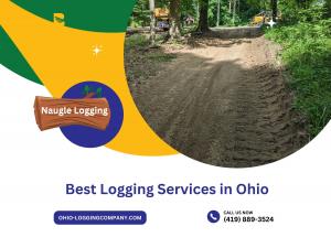 Best Logging Services in Ohio