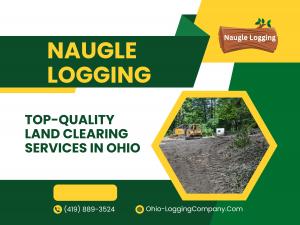 Top-Quality Land Clearing Services in Ohio