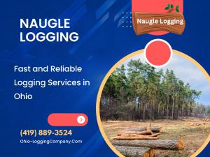 Fast and Reliable Logging Services in Ohio