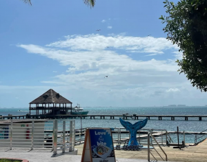 Snorkel en Isla Mujeres