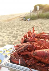 Beach Lobster Bake