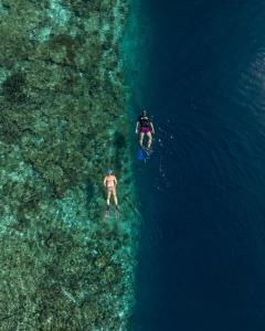 Snorkelling at Ellaidhoo Maldives by Cinnamon