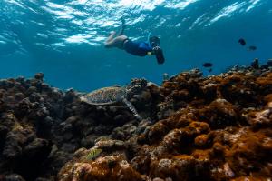 Diving at Cinnamon Hotels & Resorts Maldives