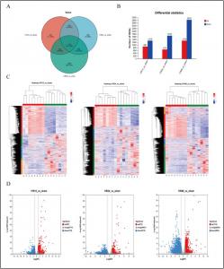 Hepatic ischemia-reperfusion injury involves transcriptional reprogramming.