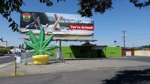 Lovely Buds Weed Dispensary E Francis Ave