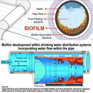 2023 academic research confirms that polyethylene (PEX-A), high-density polyethylene (HDPE), and copper pipes may accumulate lead at similar levels compared to galvanized pipes.