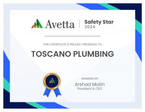 avetta safety award