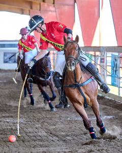 polo player on horseback hits ball towards goal