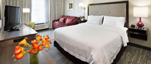 A cozy hotel room featuring a king-size bed, a red couch, a TV, and a desk, with colorful flowers on the table and natural light.