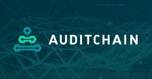 Decentralized Continuous Audit & Reporting Protocol Ecosystem