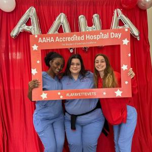 3 veterinary technicians celebrating AAHA Day