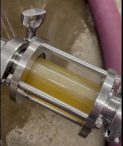 A close-up image of a sight glass attached to industrial brewing equipment, showcasing the golden, hazy liquid of Ryan's first brew flowing through it. The sight glass is encased in a stainless steel frame with bolts and a handle, connected to pipes, incl