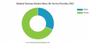 의료 관광 시장 점유율