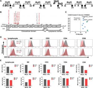 Clinical and molecular characteristics of patients with X-linked severe combined immunodeficiency disease (X-SCID).