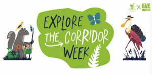 The Florida State Parks Foundation and Live Wildly announced Explore the Corridor Week is returning in April 2025.