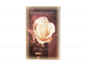 Water for the Rose