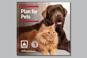 In the event of wildfires, plan for your pets in your evacuation plans.