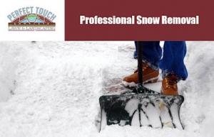 Professional Snow Removal-