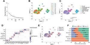 Identification of immune subtype-associated cells.