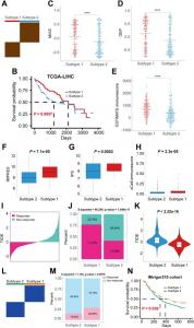 Identification of immune subtypes based on ICI response-related gene set feature scores.