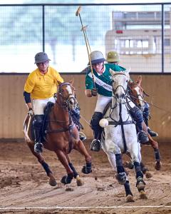 two arena polo players on horses