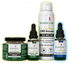 CBD Muscle and Joint cream