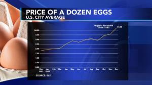 High Egg Prices