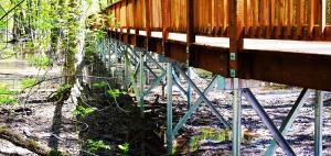 Boardwalk Contractor Installing Eco Friendly Boardwalk