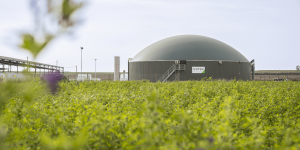 A CycleØ biogas plant in Spain