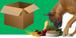 Pet Food Delivery Market