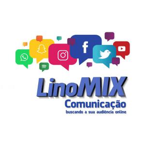 Logo of the agency LinoMix, with its slogan. '' Seeking Your Audience Online. ''