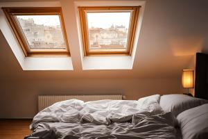  smart glass skylight..