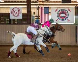 two arena polo players on horses
