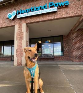 The brick exterior of a pet store in Omaha. A dog sits in front of the store.