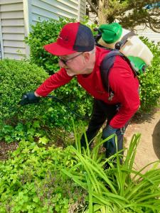 Exterminating Pest Control Service