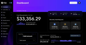 Rise Dashboard on website