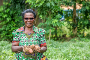 Kenyan farmer Hannah Karanja holds freshly harvested yams on her farm, part of Boomitra’s East Africa Carbon Project supporting smallholder farmers.